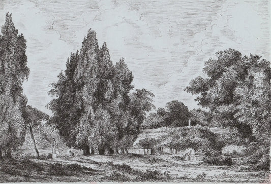 Melancholy View, 2023