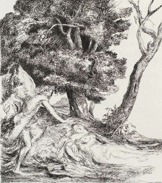 The Cruel Illusion, 2023