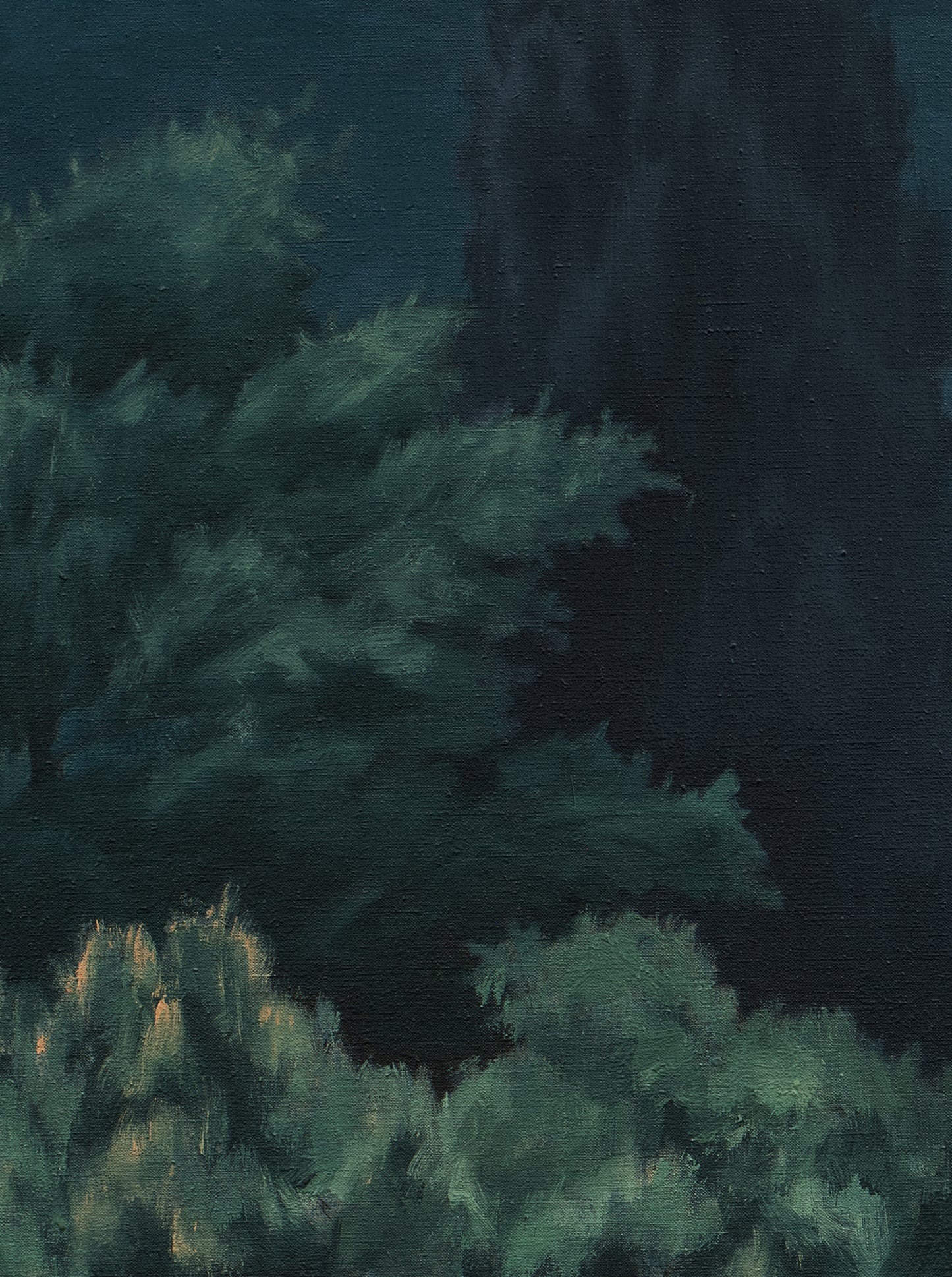 Moonlight