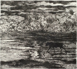 Night Prowl, 2023,Original Artwork - Andrew Kayser Editions