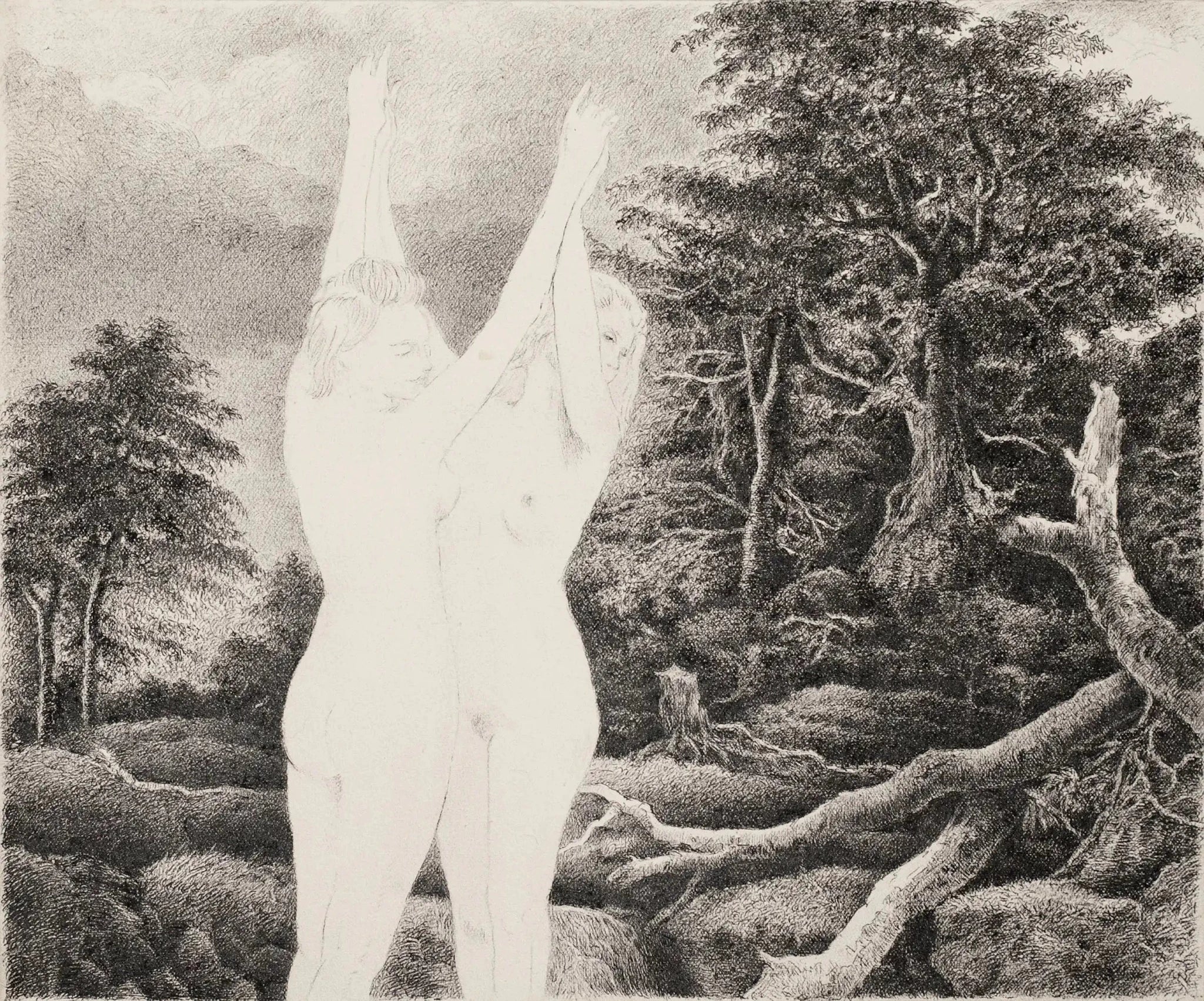 Turn & Dive, 2023,Original Artwork - Andrew Kayser Editions