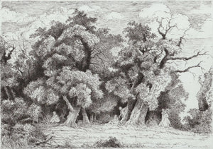 Cycle of Love, 2023,Original Artwork - Andrew Kayser Editions