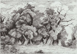 Cycle of Love, 2023,Original Artwork - Andrew Kayser Editions