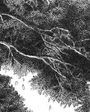 The Small Prim Mouth (2023),Limited Edition Archival Pigment Print - Andrew Kayser Editions