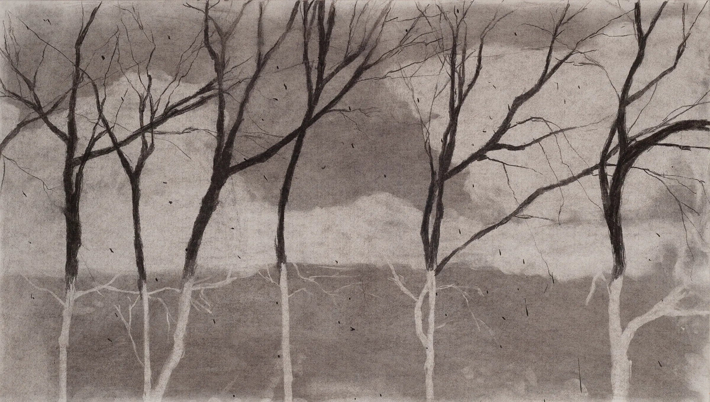 Delta Park II (2023)