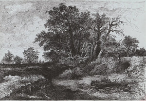 Landscape, 2023,Original Artwork - Andrew Kayser Editions