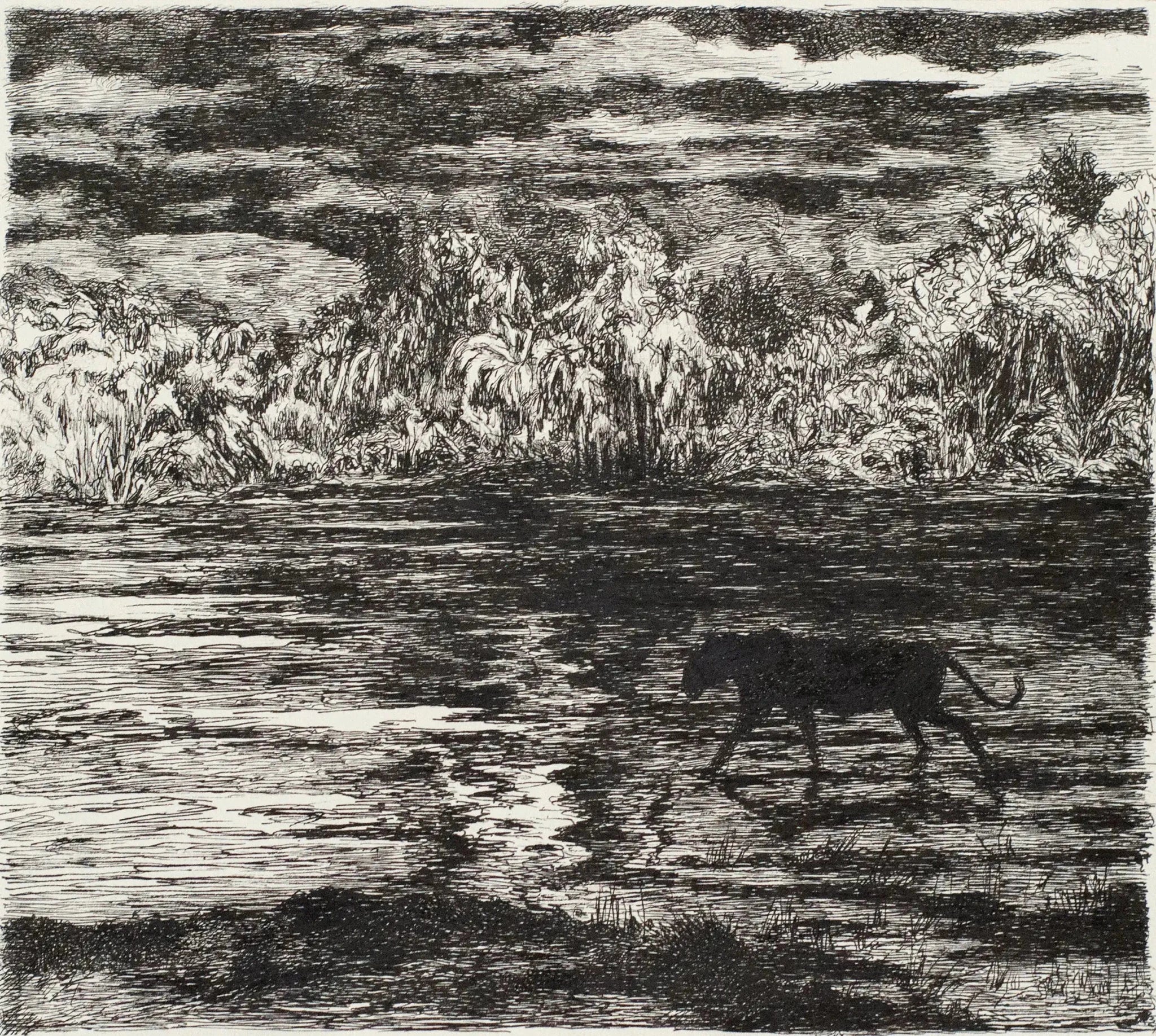 Night Prowl, 2023,Original Artwork - Andrew Kayser Editions