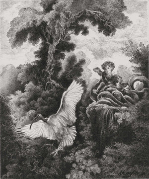 The Shade,Limited Edition Archival Pigment Print - Andrew Kayser Editions