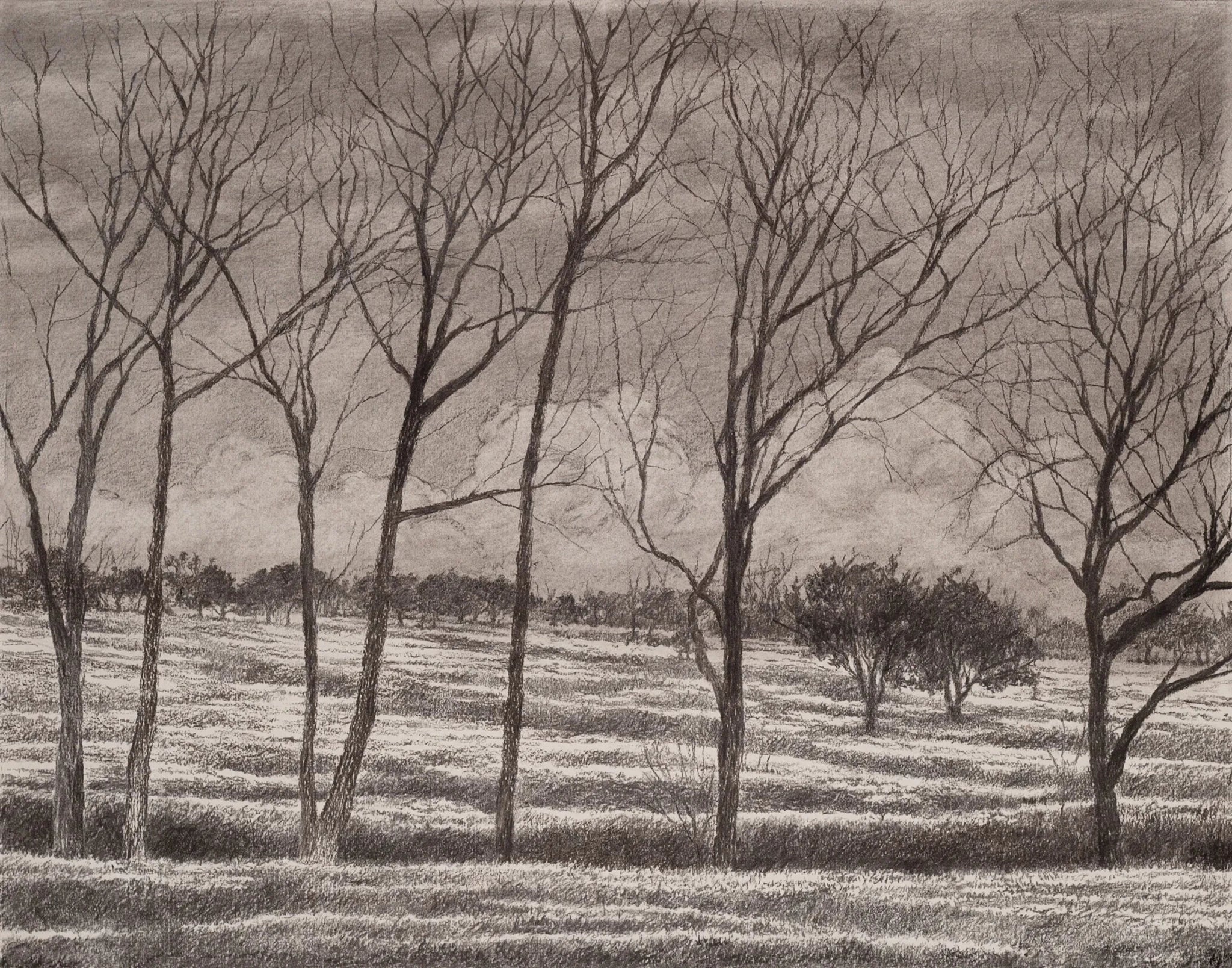 Delta Park (2022),Original Artwork - Andrew Kayser Editions